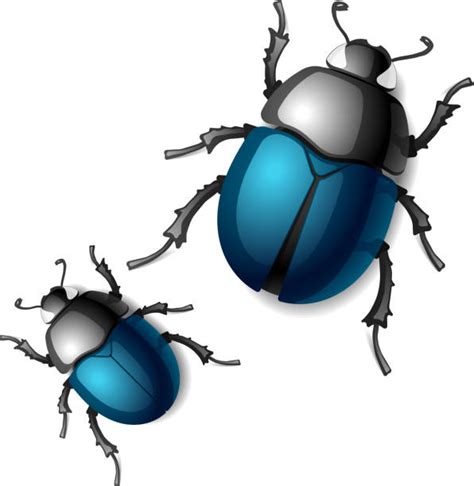 Beetle Clip Art Vector Images And Illustrations Istock