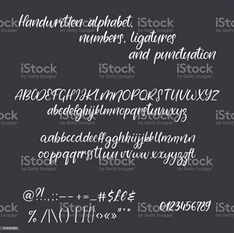 Modern Calligraphy Alphabet Handwritten Brush Letters Hand Lettering
