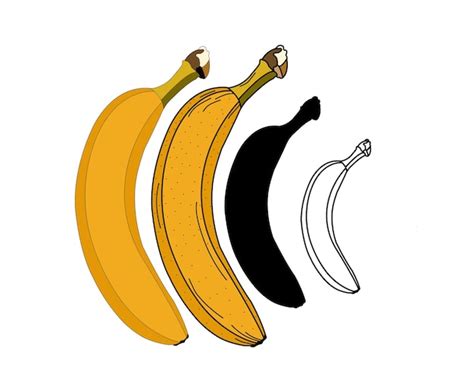 Premium Vector Vector Cartoon Banana And Bunch Of Bananas