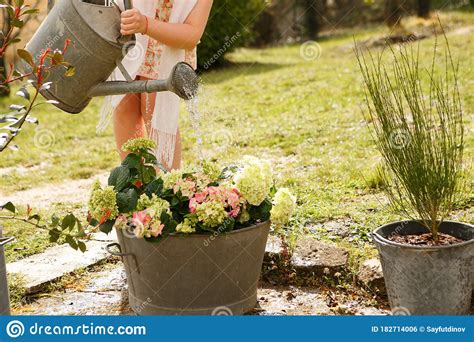 Girl With Watering Can In Garden In Country House Stock Photo Image