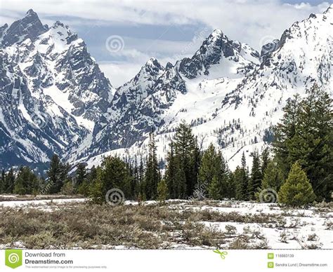Snowy Mountain With Green Trees At National Park Stock Image Image Of