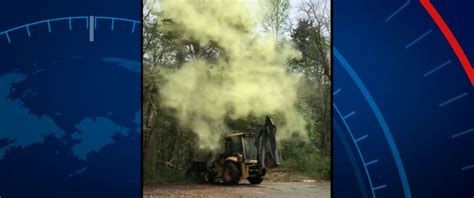 Massive Pollen Cloud Released From Tree Caught On Video Abc News