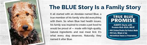 Blue for cats dry cat food recipes are made with the finest natural ingredients enhanced with vitamins and minerals. Amazon.com : BLUE Adult Sensitive Stomach Chicken & Brown ...