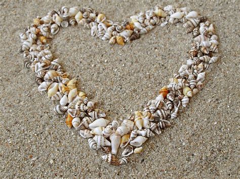 Heart Arranged From Seashells By Kirilart Redbubble