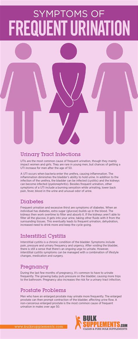 Causes And Symptoms Of Frequent Urination Hot Sex Picture