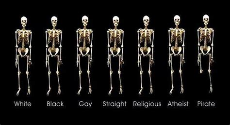 All the same by bassboy credits:instagram @bass8oy. We're all the same on the inside, except pirates, screw ...