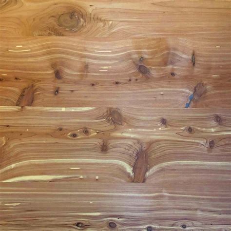 Cedar Aromatic Plain Sliced Wood Veneer Capitol City Lumber