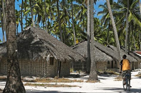 Em cabo delgado, norte de moçambique, a vida renasce lentamente nas aldeias de reassentamento de deslocados. Cabo Delgado Rich With Graphite and Coastlines on Private ...