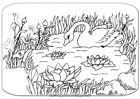 Gambar Mewarnai - Mewarnai Gambar Bebek Angsa. Gambar di ...