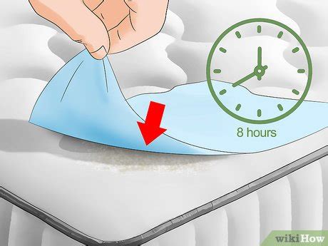 It can be nauseating with its repulsive smell and disgusting appearance. How to Clean Vomit from a Mattress: 12 Steps (with Pictures)