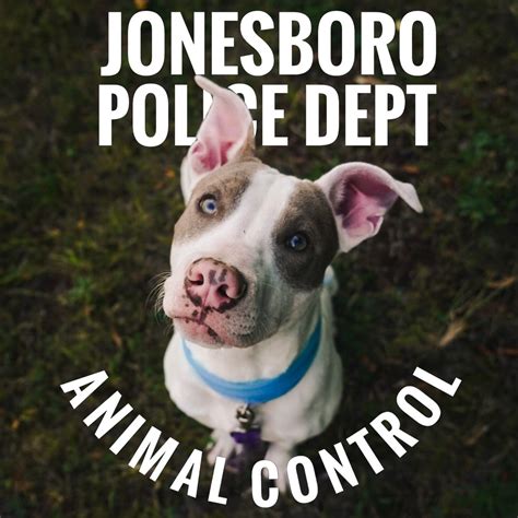 Jonesboro Animal Control Jonesboro Ar
