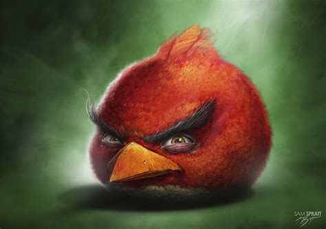 Real Life Angry Birds