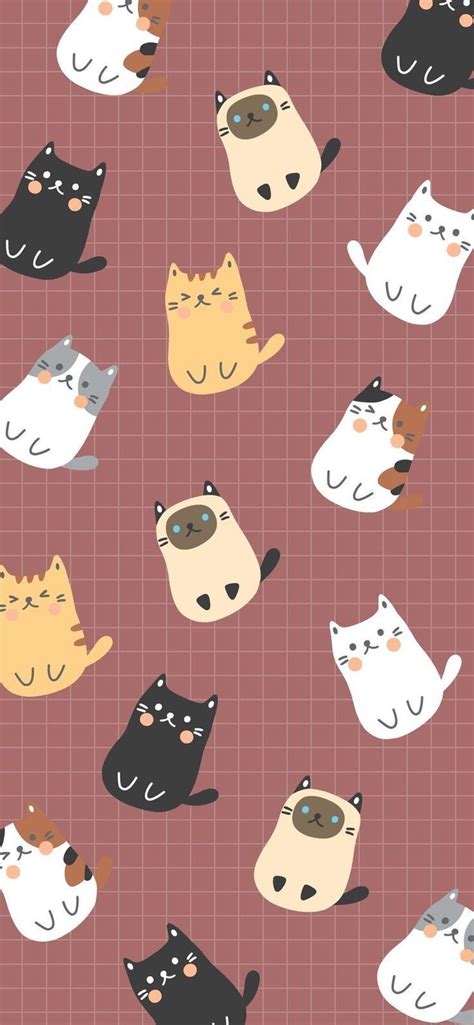 cat phone cute wallpapers wallpaper cave