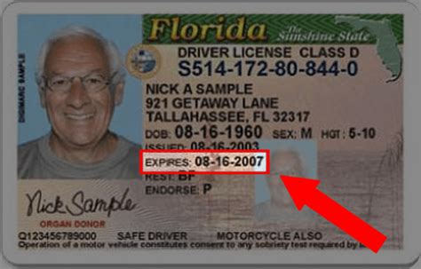 Florida Drivers License Number Lasopaexcel