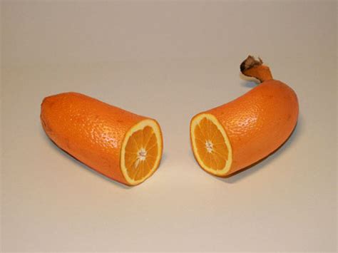 Found Shit Oranges Funny Bizarre Amazing Pictures And Videos
