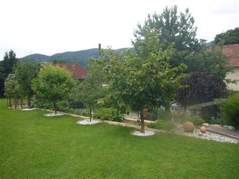 Der sogenannte feinschnitt erfolgt während der wachstumsphase von mai bis september. Kirschbaum schneiden? (Garten, Haus und Garten)