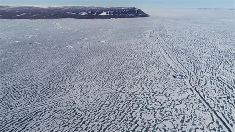 Algae Blooms Are Melting Sea Ice In The Arctic Dayton Researchers Want