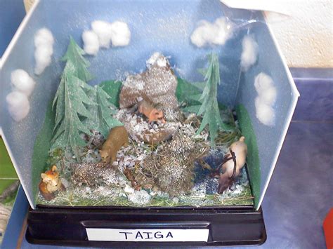 Shoebox Diorama Of A Tundra Biomes Project