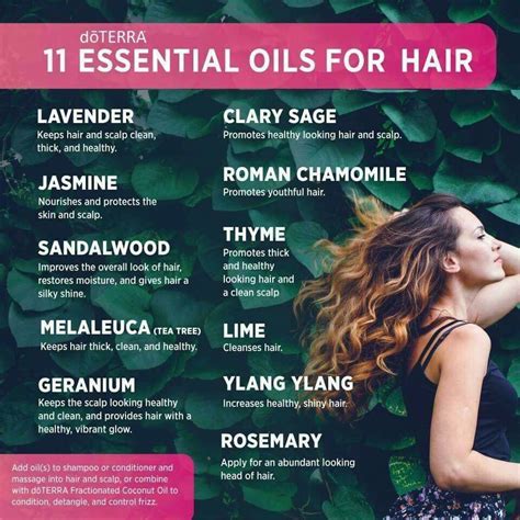 Pin By Kim Gruijs On Oils Essential Oils For Hair Essential Oils Essential Oils For Headaches