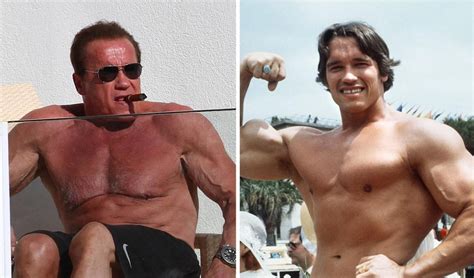 Actor Turns Politician Arnold Schwarzenegger Shows Off His Bulging Pecs
