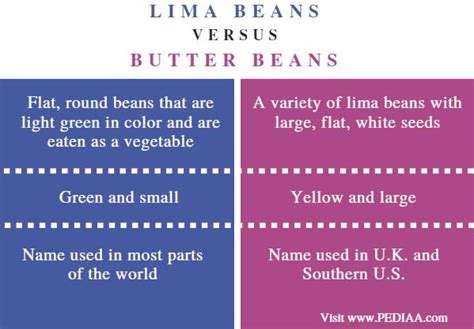 Top 10 Lima Beans Vs Butter Beans