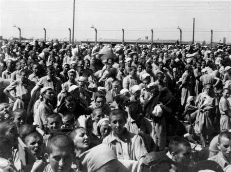 On this day 76 years ago, auschwitz was liberated by soviet troops during their second invasion of it's also important to remember that many of the liberated soviet prisoners (including decorated. Auschwitz Homework Help , Anne Frank and the Holocaust