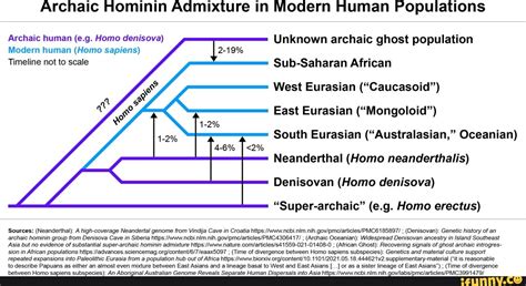 Archaic Hominin Admixture In Modern Human Populations Archaic Human E