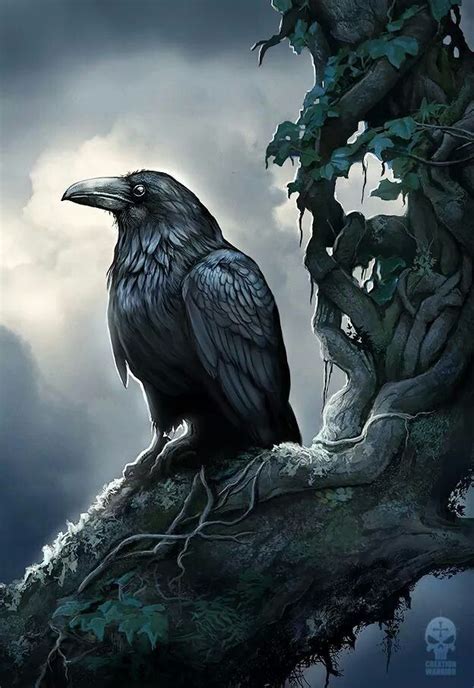 Raven Art Black Bird Crow Art