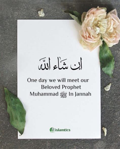 One Day We Will Meet Our Beloved Prophet Muhammad In Jannah Islamtics