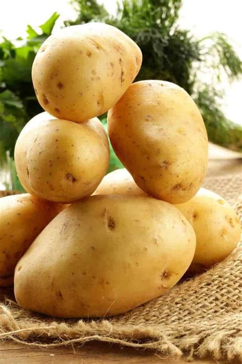 Know Your Potato Varieties Mygourmetconnection