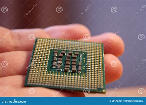 Intel Cpu On Handpentium 4 Stock Image Image Of Macro Pentium 66670301