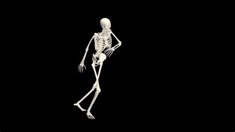 Видео Dancing Skeleton 3d 3d Skeleton Dance Animation Skeleton 3d