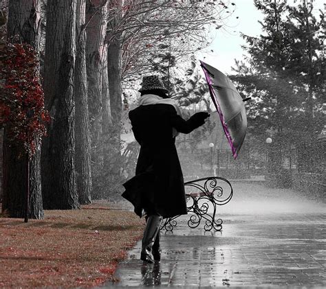 1920x1080px 1080p free download rainy day alone autumn bench lady park sad trees