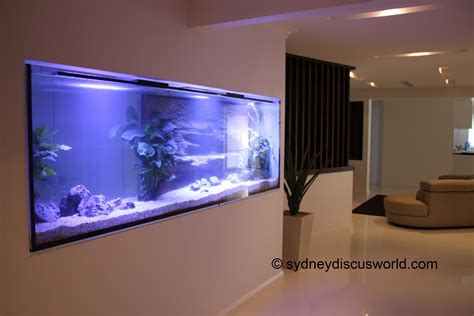 Custom Built Aquariums Sydney Australiacustom Fish Tanks Sydney