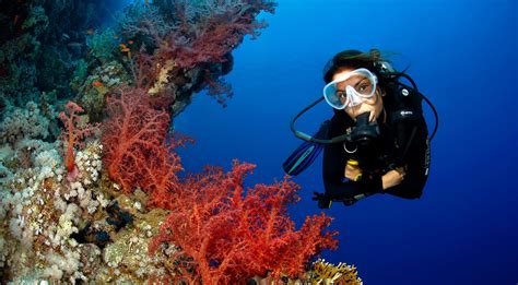 Sharm el sheikh is the package holiday resort capital of egypt and for a good reason. Camel Dive Club & Hotel | Vacanze Sub in Mar Rosso, Sharm ...