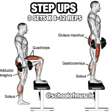 Step Ups Exercises