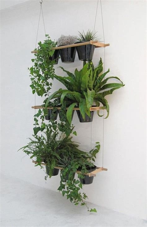 Hanging Indoor Plants 27 Awesome Indoor Houseplants To Brighten