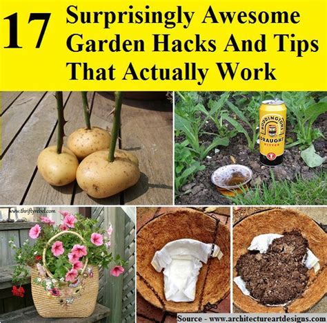 17 surprisingly awesome garden hacks and tips that actually work gardening tips garden hacks