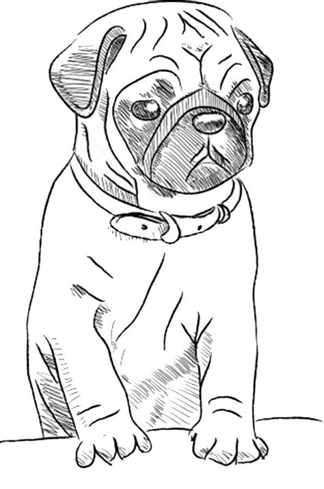 Pug Coloring Pages To Download And Print For Free Coloring Home