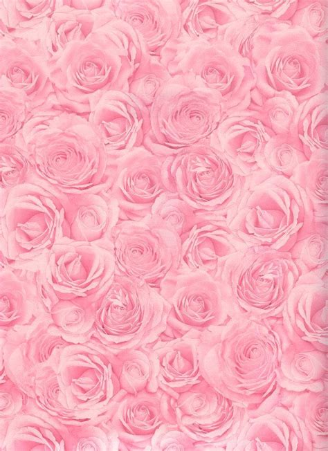 Pretty Pink Roses Background Pink Background Rose Wallpaper