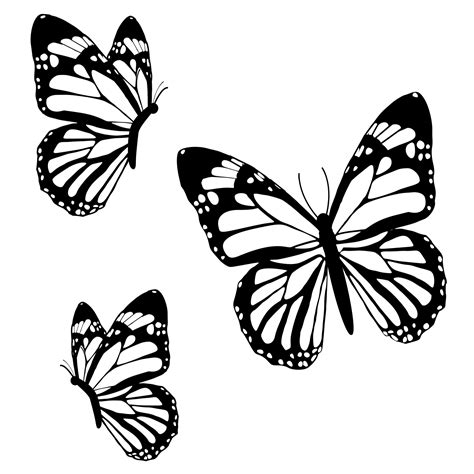 Mariposa En Blanco Y Negro Dibujo Mariposa Png Clipar