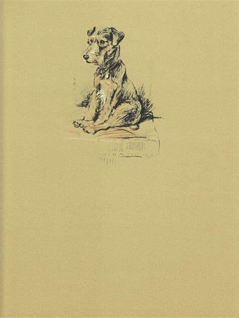 Vintage Dog Print By Lucy Dawson Terrier He Did Not Find The Chair