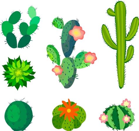 Cactus Free Vector Download 112 Free Vector For Commercial Use