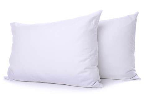 So i borrowed one and had to have one!! Hotel Pillows, Pillow Supplier Canada, Wholesale Pillows
