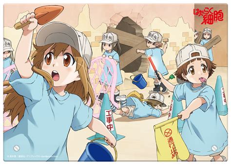Download Platelet Cells At Work Anime Cells At Work Hd Wallpaper