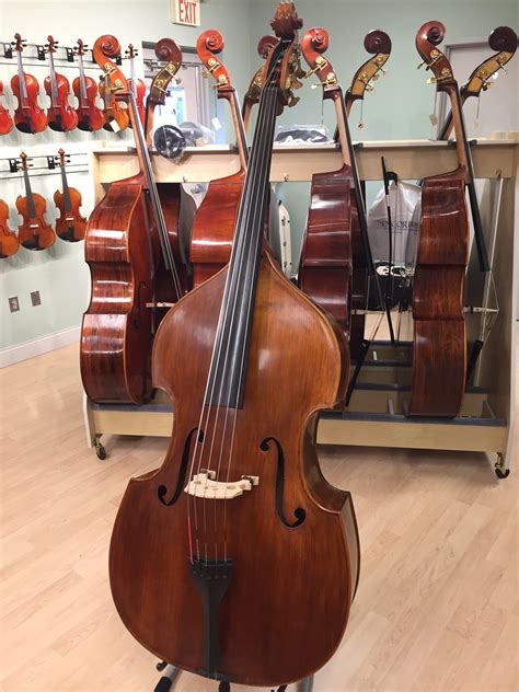 5 String Bass Encore Orchestral Strings Indianapolis Indiana