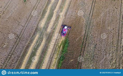 Aerial View Combine Harvester Harvesting On The Field Harvesting Wheat