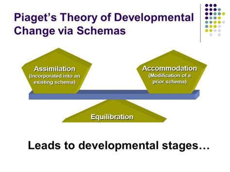 Piagets Theory Of Cognitive Development Explained Studiousguy