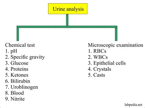 Pus Cells In Urine Normal Range Hpf For Female