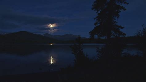 Moon Reflecting Off Lake At Night Stock Video Footage 0018 Sbv